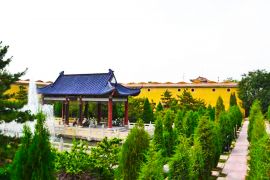 风和日丽