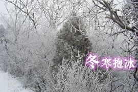 冬寒抱冰