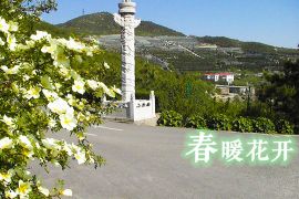春暖花开
