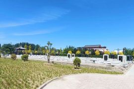 陵园道路