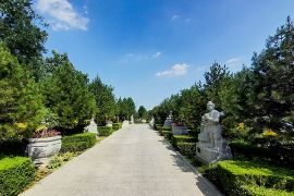 陵园主路