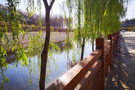 风和日丽