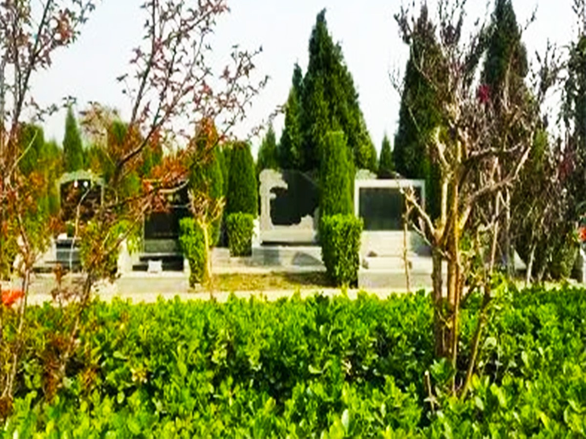 春日风景