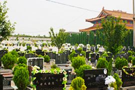 墓区环境