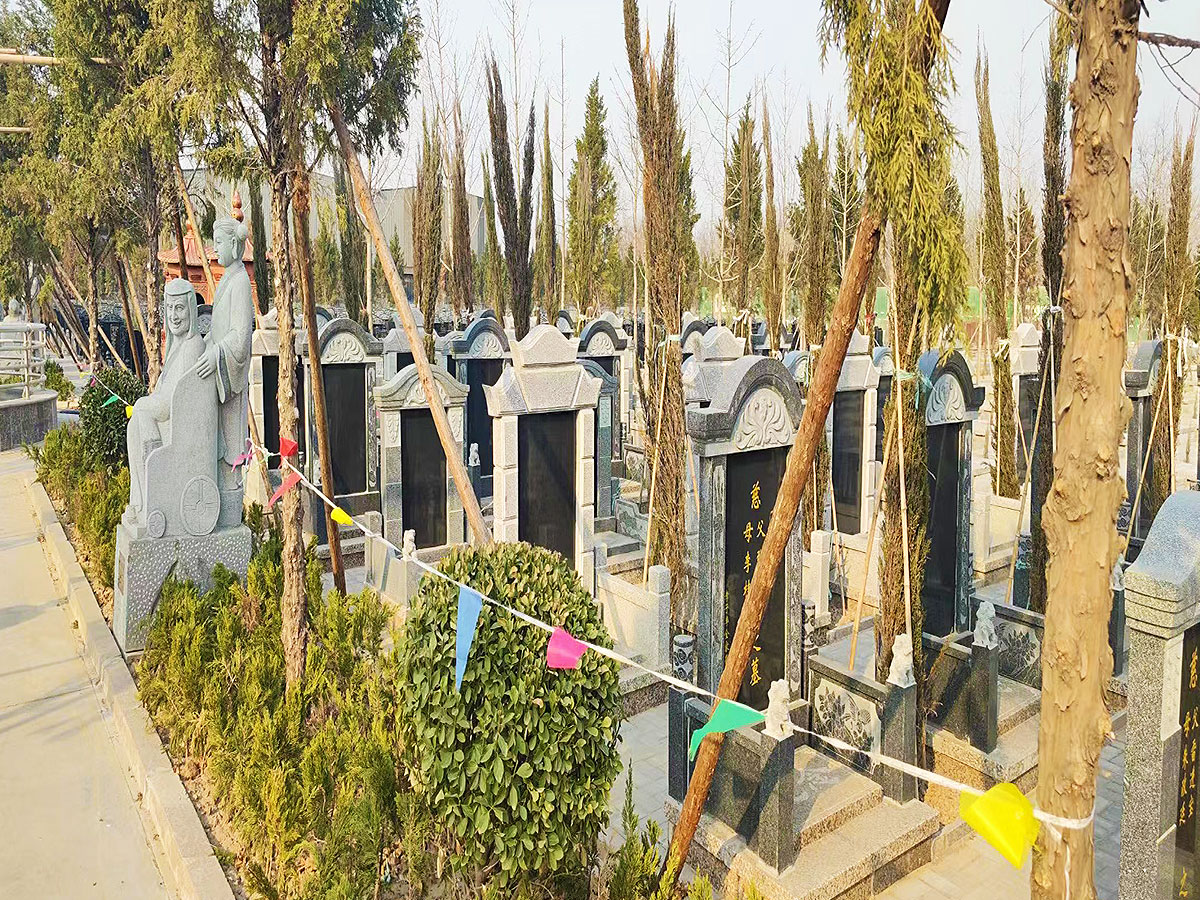 墓区图片