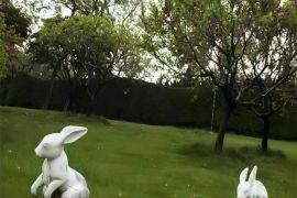小兔之家